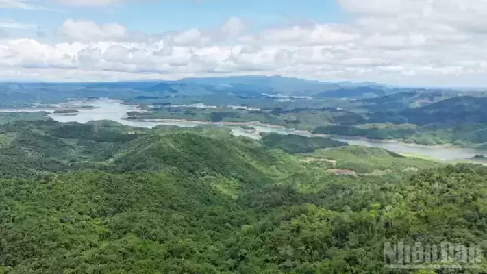 Quyết định phê duyệt kế hoạch thu chi kinh phí dịch vụ môi trường rừng tỉnh Lâm Đồng năm 2025