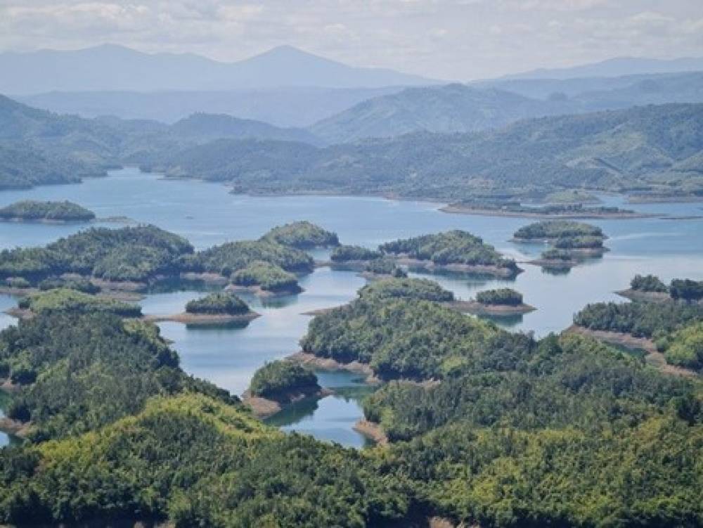 QUỸ BẢO VỆ VÀ PHÁT TRIỂN RỪNG: TĂNG CƯỜNG KIỂM TRA, GIÁM SÁT VIỆC QUẢN LÝ SỬ DỤNG TIỀN DỊCH VỤ MÔI TRƯỜNG RỪNG TRÊN ĐỊA BÀN TỈNH LÂM ĐỒNG