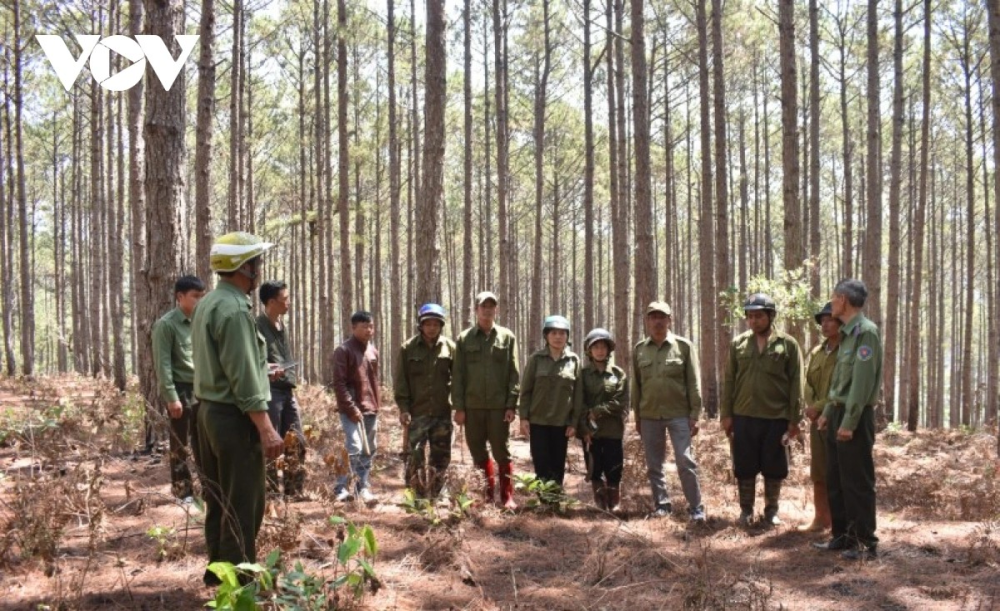 TÁC ĐỘNG CỦA CHÍNH SÁCH CHI TRẢ DỊCH VỤ MÔI TRƯỜNG RỪNG Ở LÂM ĐỒNG