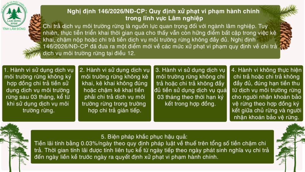 NGHỊ ĐỊNH 146/2026/NĐ-CP: QUY ĐỊNH XỬ PHẠT VI PHẠM HÀNH CHÍNH TRONG LĨNH VỰC LÂM NGHIỆP